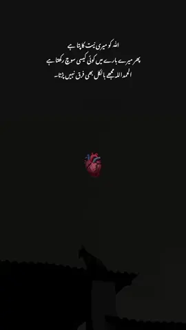 Allhumdulillah ❤️💓  # for you 