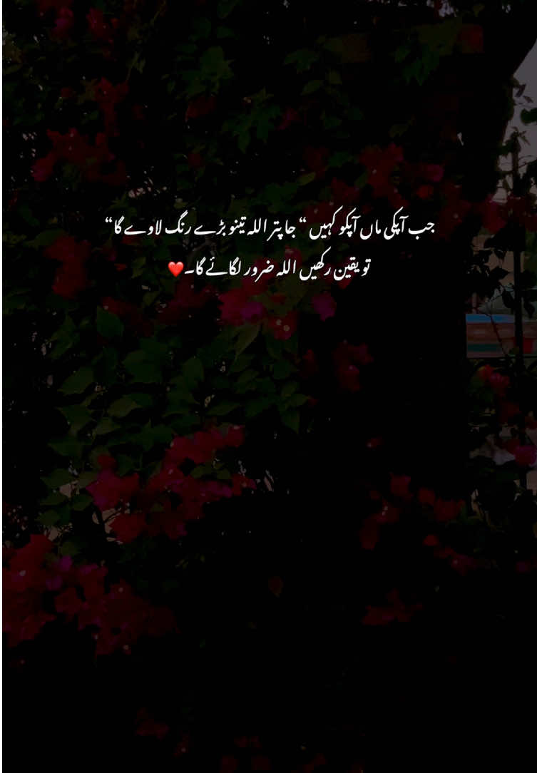 Inshallah🫶🥹#fyp #grow #poetry #viralvideos #aestheticvideos 