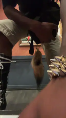 (not a barb) #pisces #fotd #OOTD #fashion 