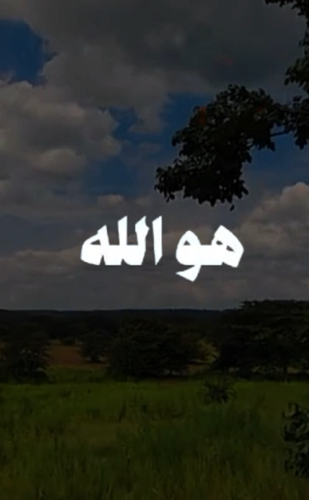 قالت طافت على نفسي الهموم🩶 بسم الله الرحمن الرحيم🖤 #مبروك_زيد_الخير #الشيخ_مبروك_زيد_الخير #الدكتور_مبروك_زيد_الخير #صلي_على_محمد #صلي_علي_النبي 