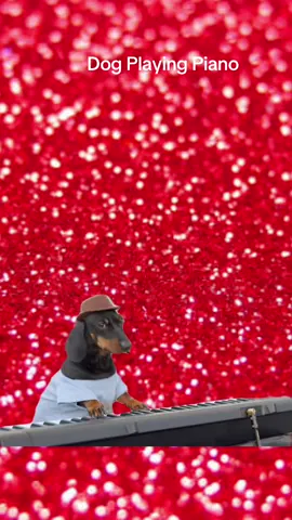 #CapCut #fyp #dogplayingpiano 