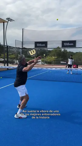 La víbora del maestro😎 The master’s vibora! #WilsonPadel #Padel #Sciorilli #Padelshot 