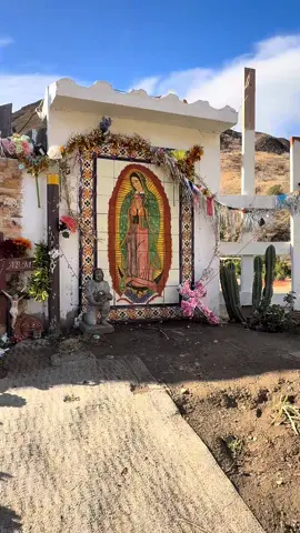 Felling blessed! 🙏🏽🙏🏽🙏🏽 #sanjuditastadeo🤍💚💛 #virgendeguadalupe #tadeo 