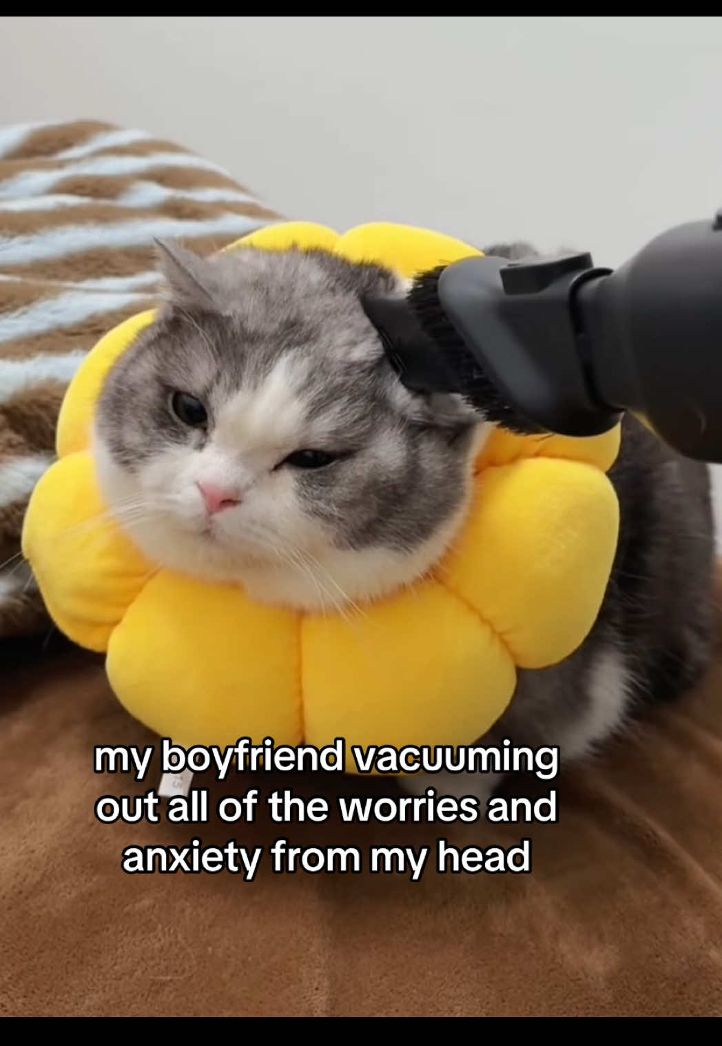 #catsoftiktok #catmeme #relationshipmemes #relatable #couplecomedy 