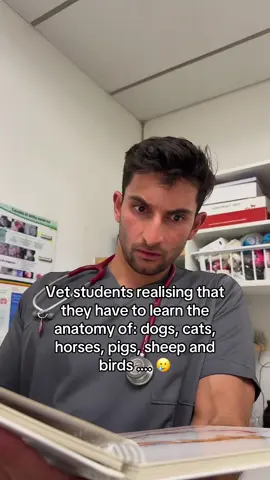 Vet school is so hard !!!! Just in learning the anatomy and physiology of different animals. And they’re all different ! 🥲  #vet #funny