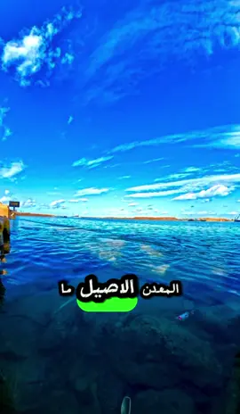 الأصيل أصيل✌🏻 #fy #fyp #viral #foryou #following 