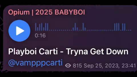 i actually need ts #playboicarti #tgd 