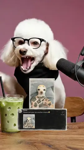 SMASH OR PASS BAD VERSION 2 💀💀💀 who’s ready lol… #dogtok #dogpodcast #doghumor #dogsoftiktok #barkafterdark 