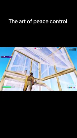 That’s the art of peace control👍👌 #fyp #fortnite #bestsettings #foru #edit 