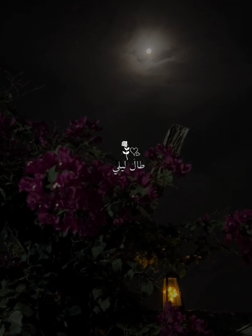 طال ليلي واليالي حملها فوق احتمالي #طال_ليلي #اناشيد #nasheed #بدون_موسيقى #مشاهدات 