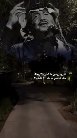 قالها البدر : الشوق الي يزور قلبي يزورك ؟؟ مساء الجمال ♥️♥️🎶🎶محمد عبده ## ليل # علامه ياحمامه ،، #اكسبلورexplore #♥️♥️🎶🎶🎻🎻 