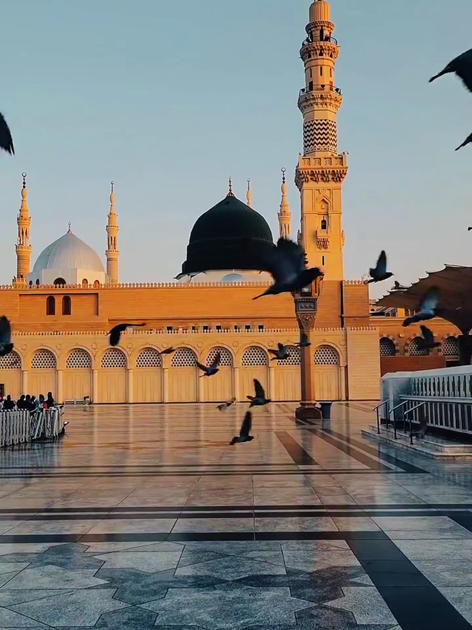 Assalamualaika Ya☺🫀🌸🎧 . .  #nasheed #darkedit #aestheticvideos #islamiccontent #islamicstatus 