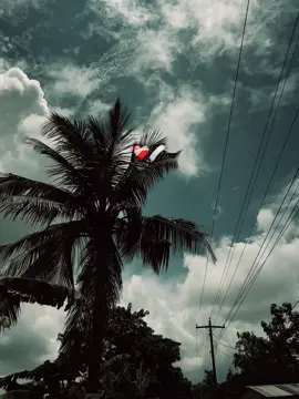 ❤️‍🩹🩹#creatorsearchinsights #me #tiktok #foryoupage #fypシ゚ @TikTok @For You 