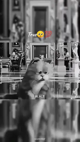 `𝐓𝐫𝐮𝐞🥺...💯`