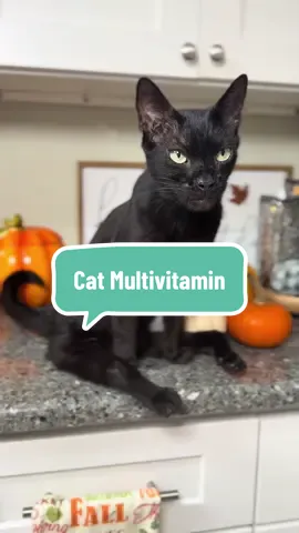 He thinks they’re treats… I know they’re his daily multivitamins. 😻 Nothing extra, just a little routine that keeps him looking his best. @Pet Honesty #pethonesty #AriesApproved #CatWellness #CatLovers 