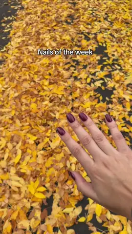 The perfect burgundy for fall @Olive & June saucey comes in press ons and a matching polish!  #oliveandjune #pressonnails #nailsoftheweek #fallnails 