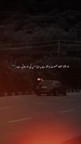 جو جتنا اچھا جھوٹ بولتا ہے یہ دنیا اس کی ہو جاتی ہے۔❤️‍🩹💫🍂 #foryou #foryoupage #viral 