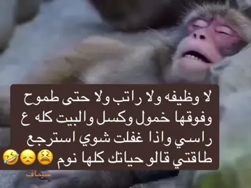 #وزاره #الامهات_اللهم_احفظهم #اختبارات #متابعه_ولايك_واكسبلور_فضلا_ليس_امر 