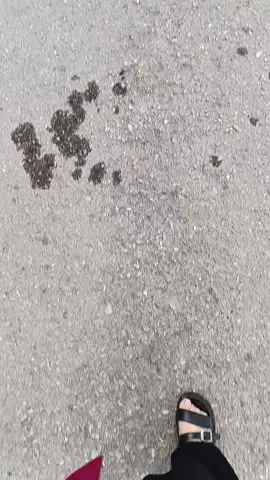 #قسنطينة حاجب وعوينة #♥️♥️♥️♥️♥️ 