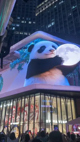 Phải đến Thành Đô một chuyến thôi — để hít hà cơn gió mát ở Thái Cổ Lý, dạo bước trên Xuân Hi Lộ, và ngắm nhìn những chú gấu trúc đáng yêu giữa không gian 3D chân thật đến ngỡ ngàng 🍃🐼✨ Một thành phố vừa hiện đại, vừa dịu dàng — khiến người ta chỉ muốn ở lại thêm chút nữa… 💭🌙 #ThànhĐô #TháiCổLý #XuânHiLộ #GấuTrúc #YêuLắmLuôn #TikTokTrungDuLịch #CảmHứngThànhĐô 🌸