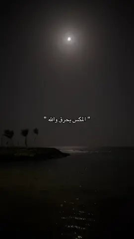 🌶️ #viral #fyp #سبايسي #انتشار_سريع #foryou 