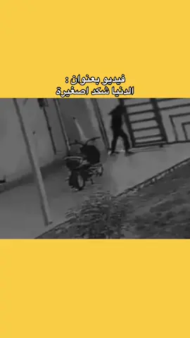 #اصغيرة #دنيا #مالي_خلق_احط_هاشتاقات #سيد_سلام_الحسيني #شلون_صوره_طبعت_بعين_العليله 