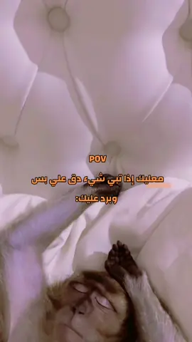 🙂🙂🙂 #الشعب_الصيني_ماله_حل😂😂 #رياكشنات #pov #viral #اكسبلورexplore 