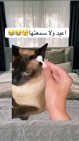#Meme #MemeCut #الشعب_الصيني_ماله_حل😂😂🙈 #تصميمي #تكتوك 