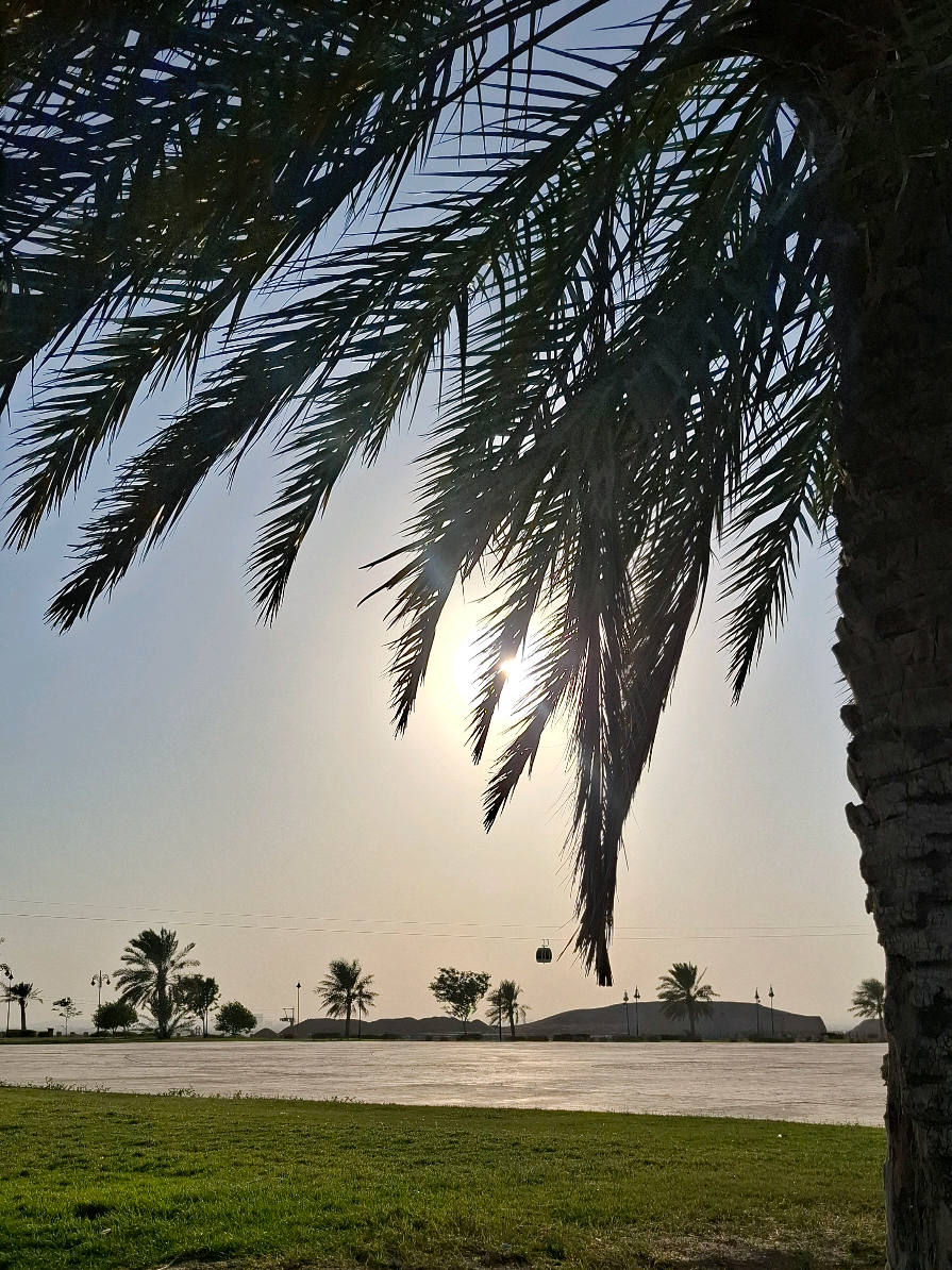 الأحساء جبل الشعبة ⛅️🌴... #الاحساء #جبل_الشعبة #Vlog  #explore   #fyp 
