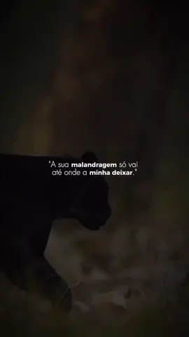 #frases #motivaçãodiária #acorda 