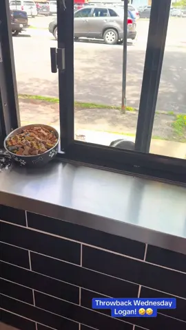 It’s Wednesday and we have the best Deep Dish pizza in the Chi! Pre-Order your pizzas for Thursday Night 🏈 #chicago #pizza #fyp #foryoupage #football @Caleb Williams @Chicago Bears Where can we send you a pizza! 🍕 @Keith Lee we would love for you to visit with your family! ❤️