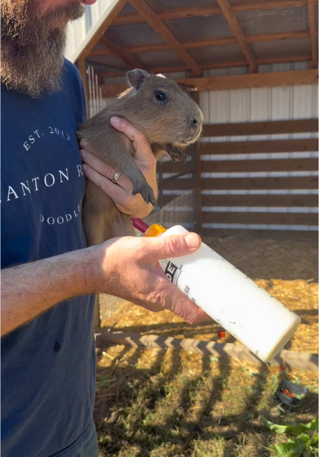Finally naming the little baby goats❤️