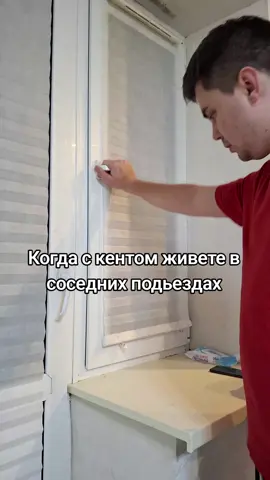 Только сегодня подписка бесплатная