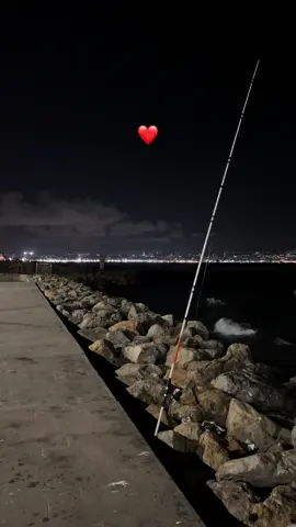 #fyp #algeria #explore #pourtoi 