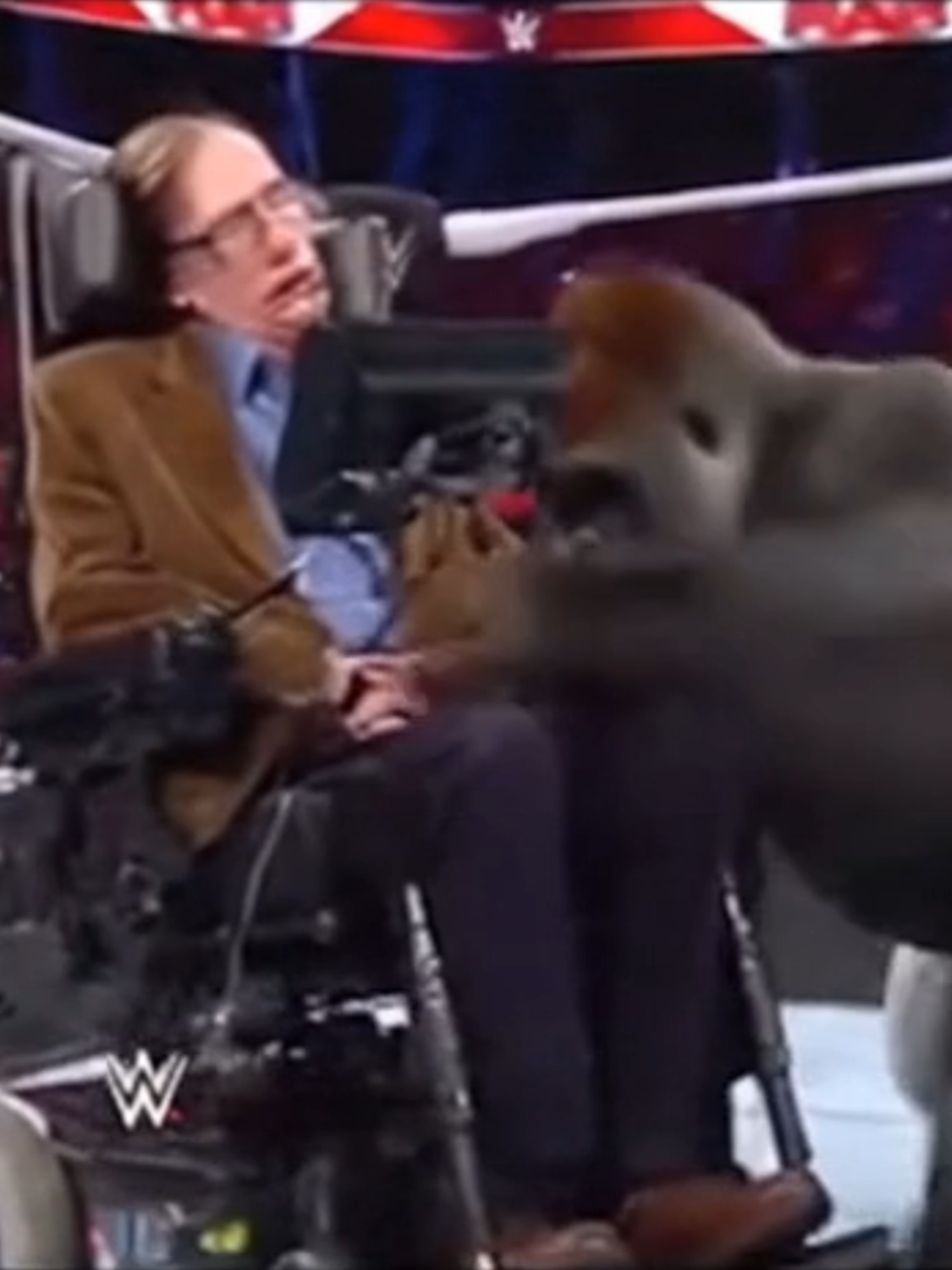 Gorilla vs Hawking WWE 🤼‍♂️🔥 #fyp #ai #viral #viralvideo #sora