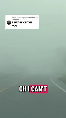 Replying to @makaylawilliams9352 should I make a full length myterious fog song 🌫️ 😂 #fog 