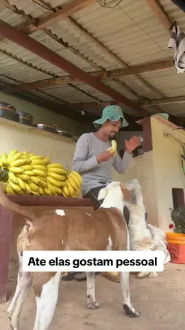 Até elas gostam pessoal kkkkkkkk 
