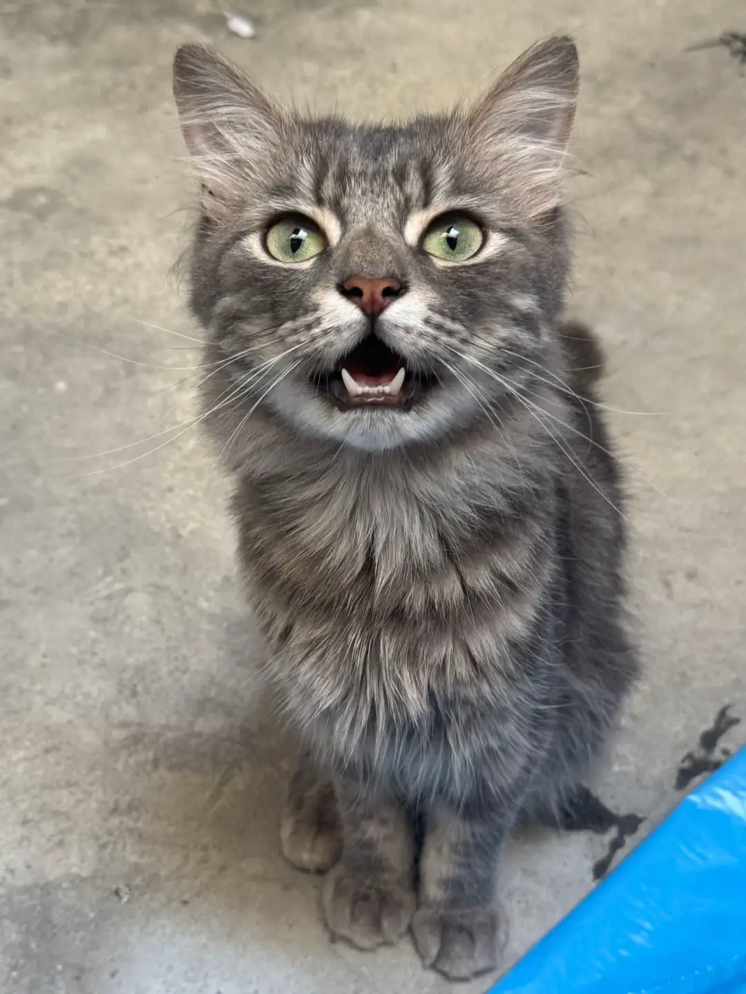 4 Wochen haben nicht gereicht..  #istanbul #bursa #afyon #ölüdeniz 