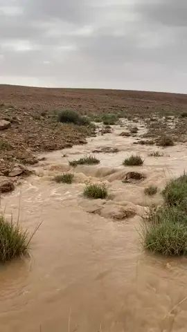 عرعر العويصي 1444