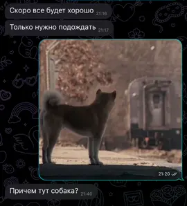 #хатико#ожидание #хочуврекомендации #рек#fyp 