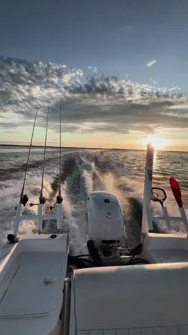 Quick morning REDFISH mission ✅ #redfish #swfl #fishing #suzukimarine #flatsfishing 