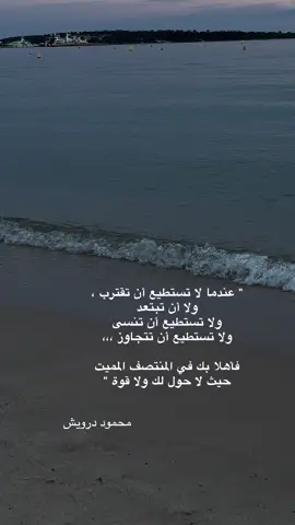 #فرنسا🇨🇵 #كان 