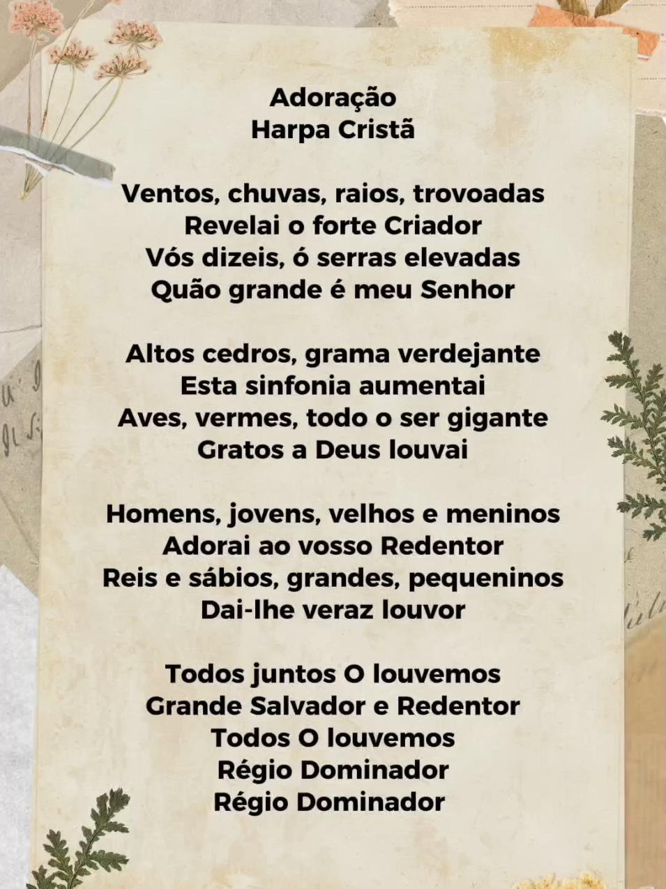 #louvor #Jesus #salvação #adoraçãoelouvor #flypシ 