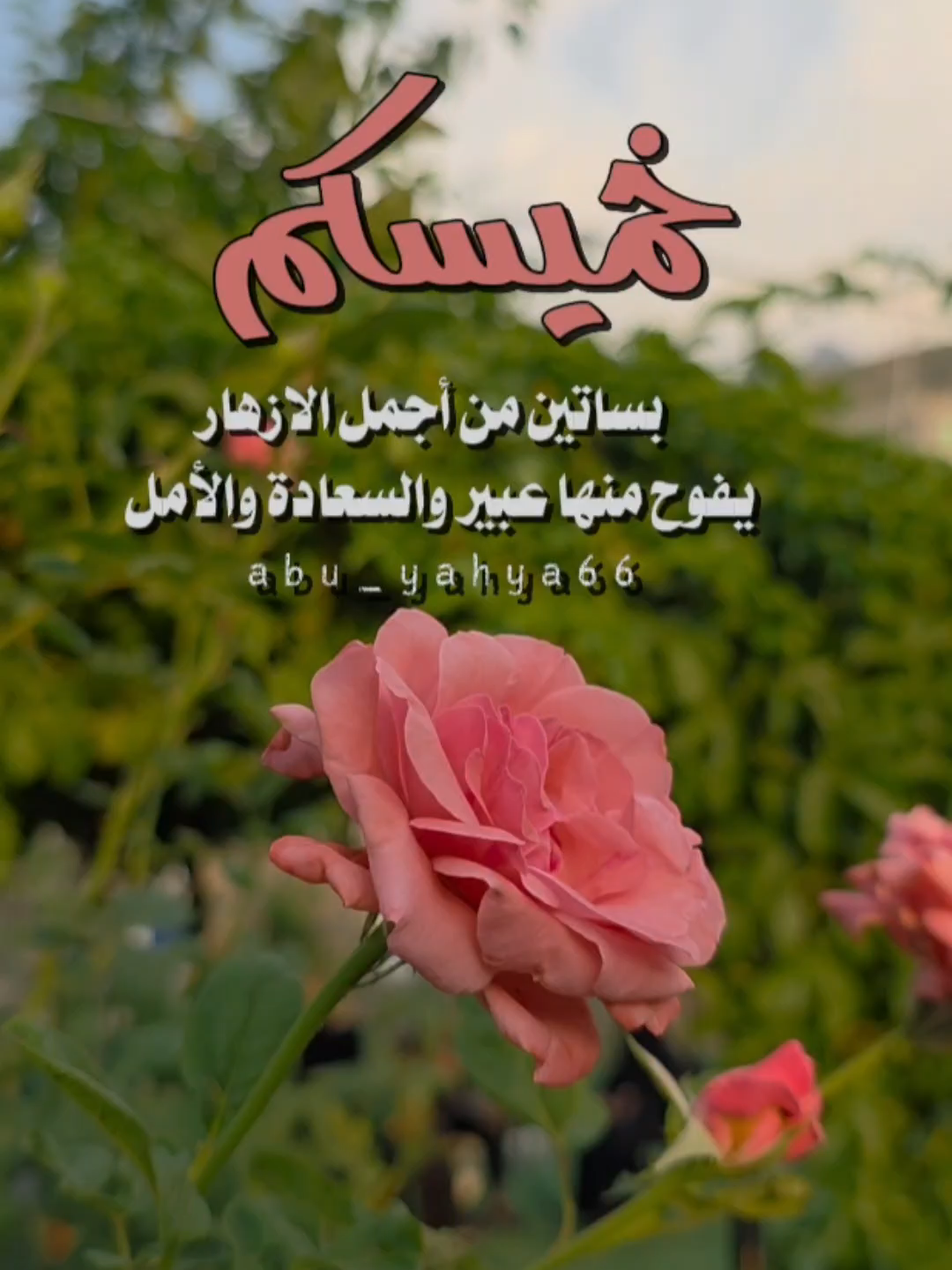 #صباح_الخير #الخميس_الونيس #الخميس #صباح #يوم_الخميس