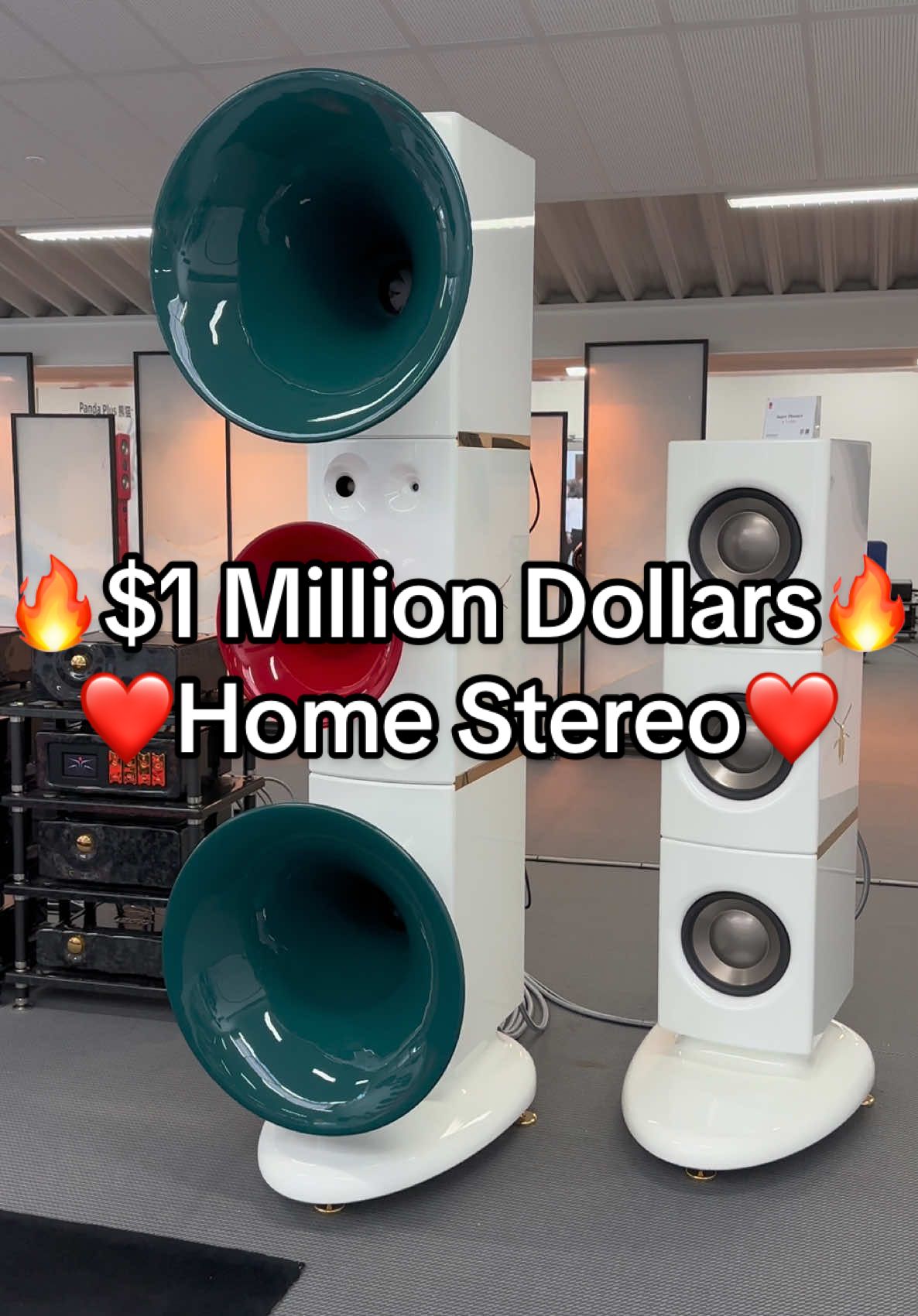 $1 Million Dollars HiEnd Stereo System ❤️ Audiophile Home HiFi Sound Speaker Setup 🔥 #highend #audio #speakers #hiend #stereo