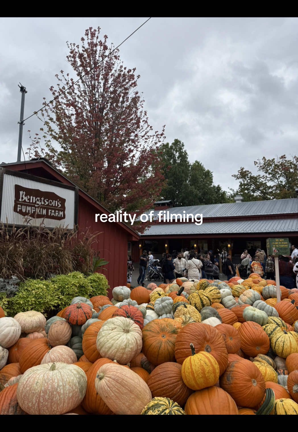 suddenly my brain isn’t working #bloopers #filming #behindthescenes #bts #microinfluencer relatable content contentcreator content creator stuttering filming chatty vlog reality 