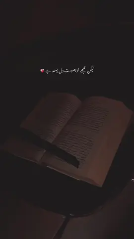 Mujhe khobsorut dil Passand hai-🥀 #urdushayari #urduadablines #viralvideo #vuews100k @TikTok 