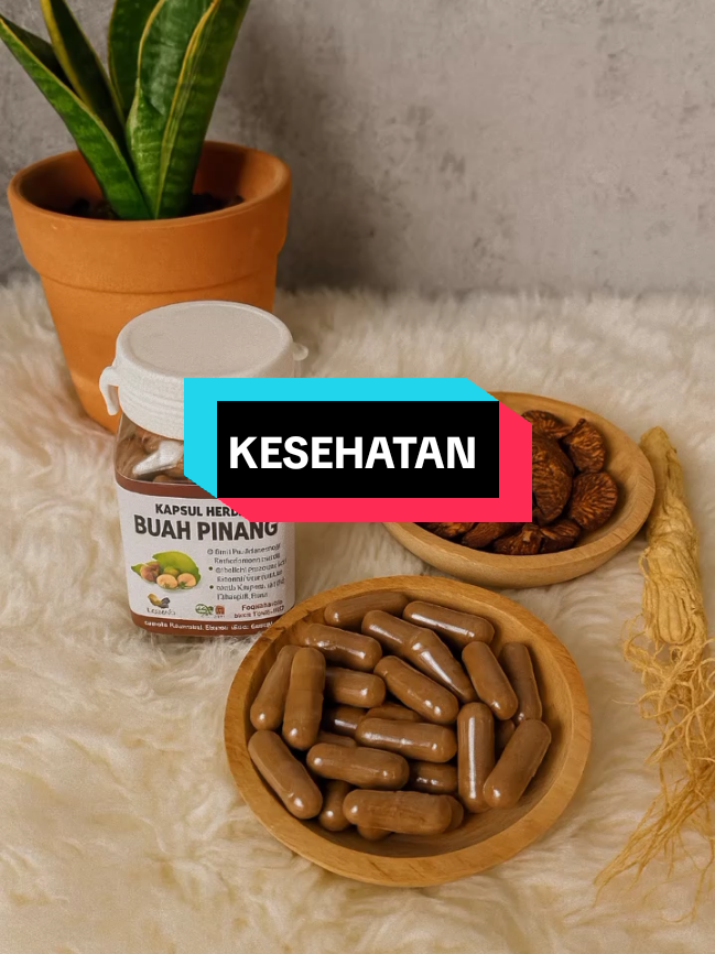#obatkuatpria #kapsulbuahpinang 
