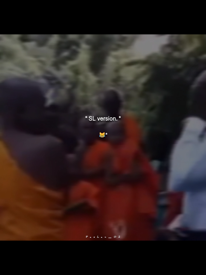 part 117 | 😹🤌 #fypシ #tiktok #viraltiktok #foryoupage 