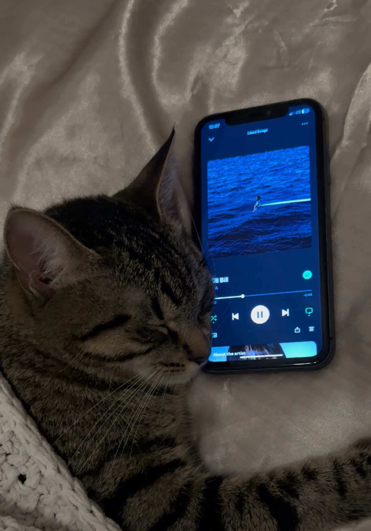Rory’s playlist pt. 156 @SZA #sza #killbill #sos #spotify #cat 